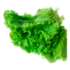 Салат