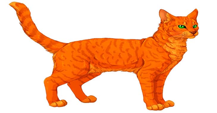 Кот-воитель "Львиносвет"!